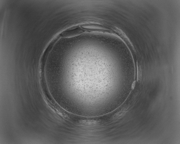 X0000084030435200702232302