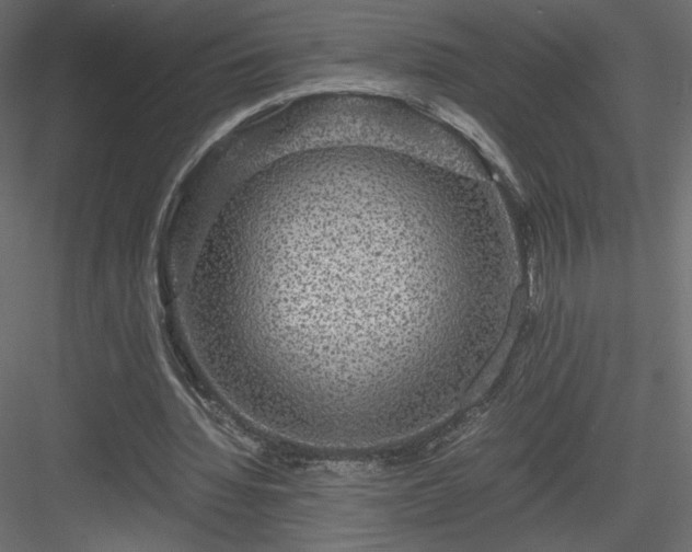 X0000084030436200702232302