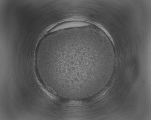 X0000084030437200702232302