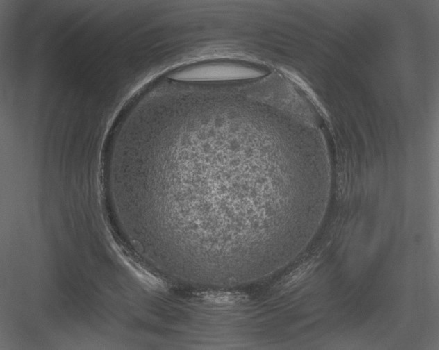 X0000084030439200702232302