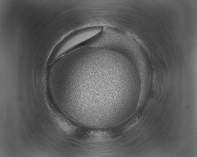 X0000084030440200702232302