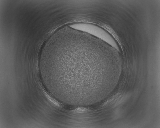 X0000084030441200702232302