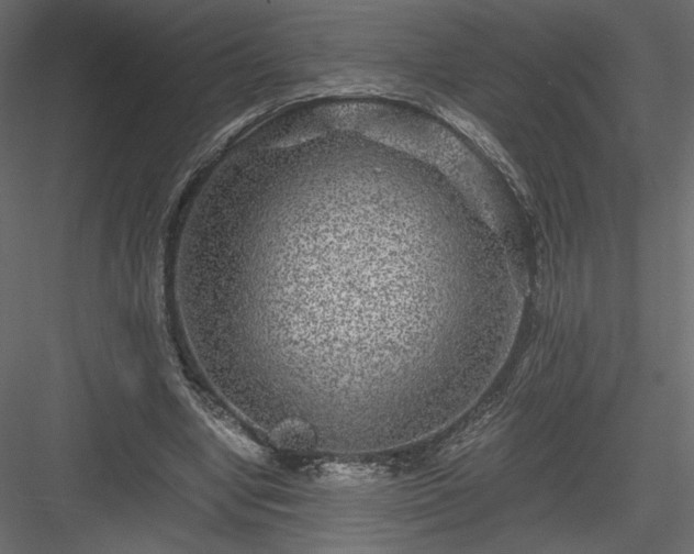 X0000084030442200702232302