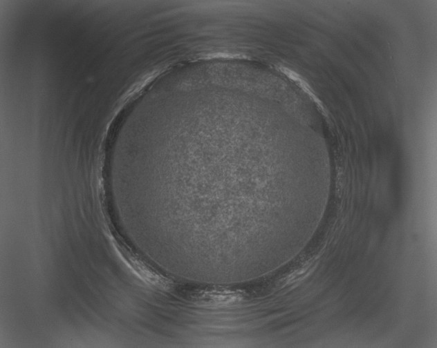 X0000084030443200702232302