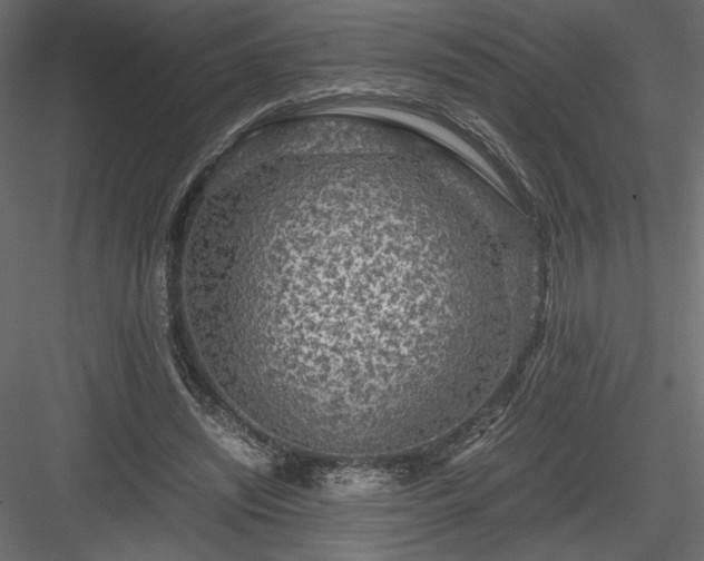 X0000084030444200702232302