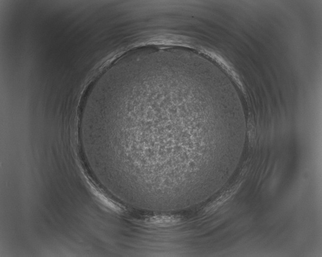 X0000084030445200702232302