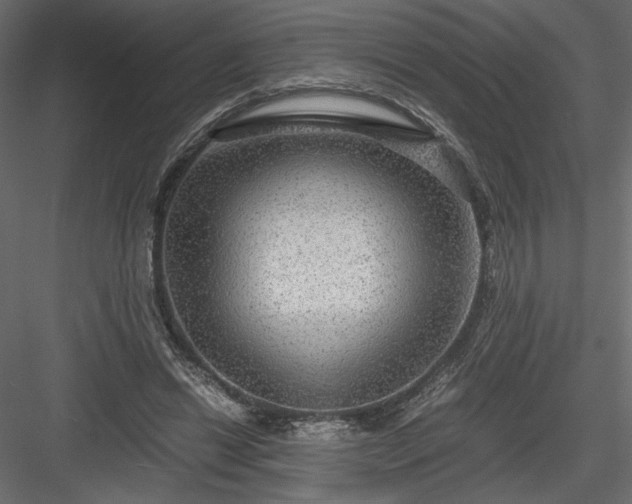 X0000084030446200702232302