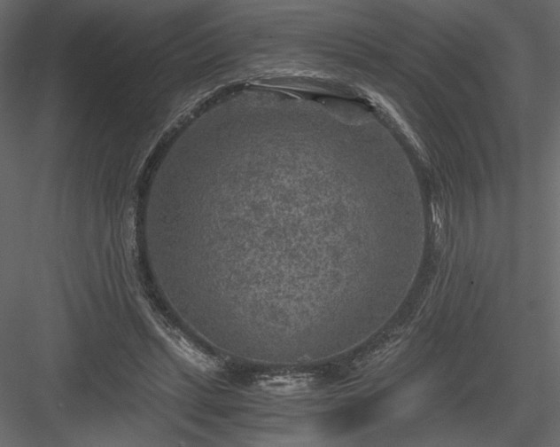 X0000084030447200702232302