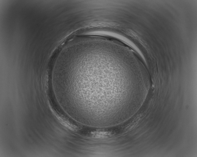 X0000084030448200702232302