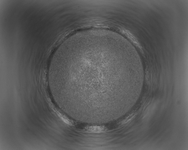 X0000084030449200702232302