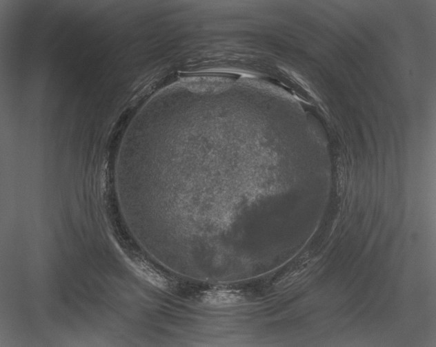 X0000084030451200702232302