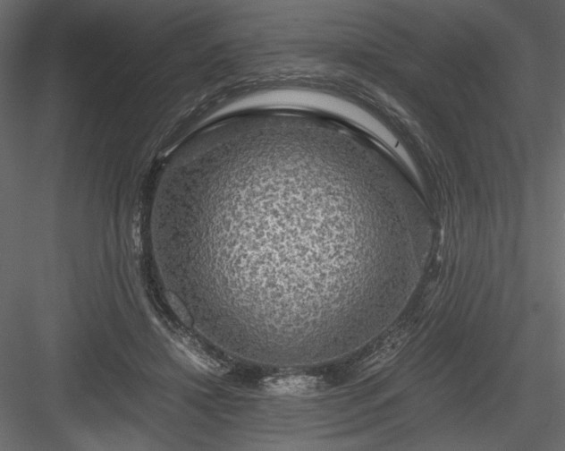 X0000084030452200702232303