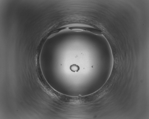 X0000084030454200702232303