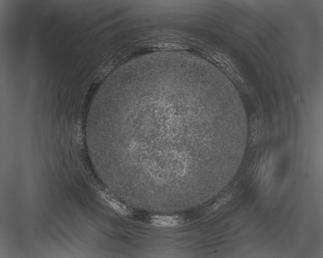 X0000084030457200702232303