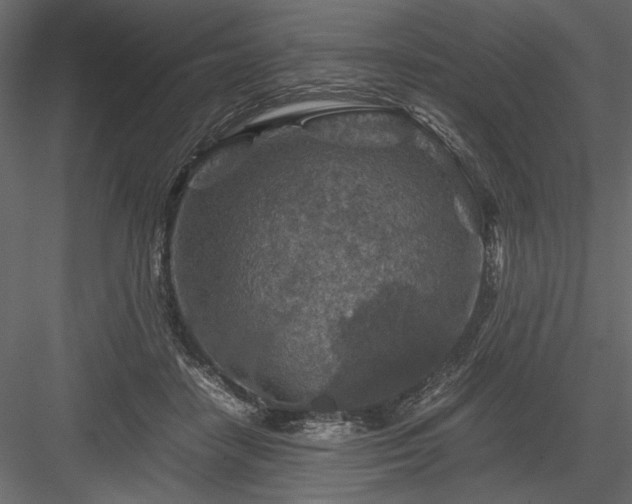 X0000084030458200702232303