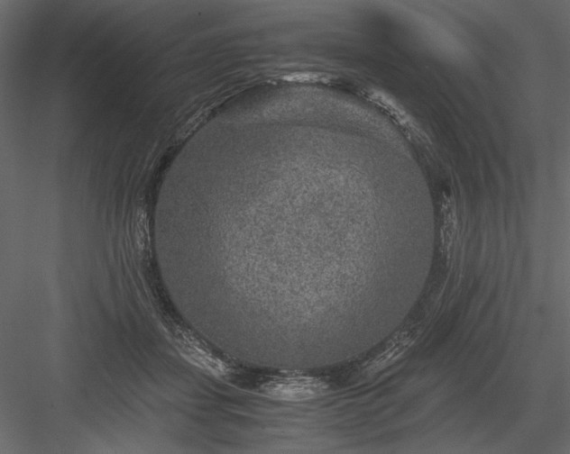 X0000084030459200702232303