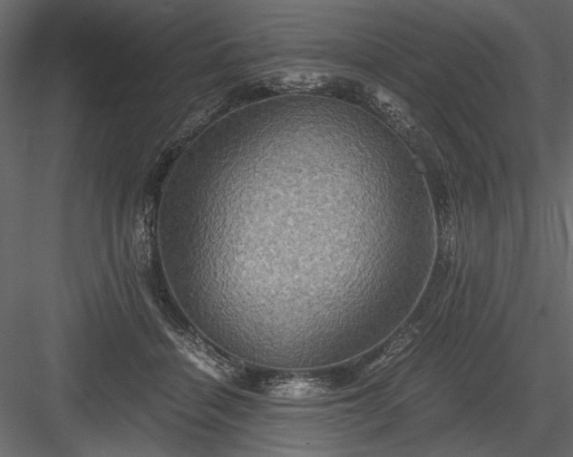 X0000084030460200702232303