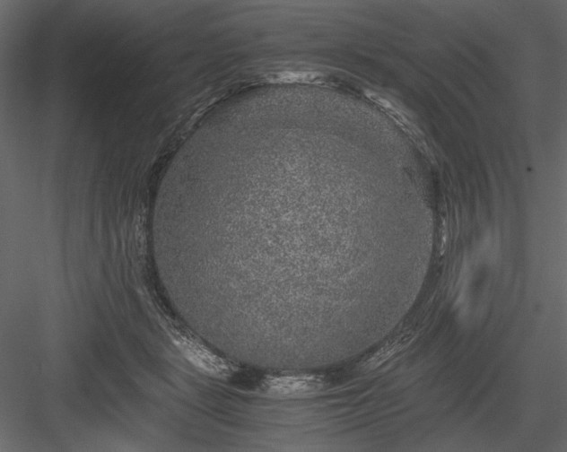 X0000084030461200702232303