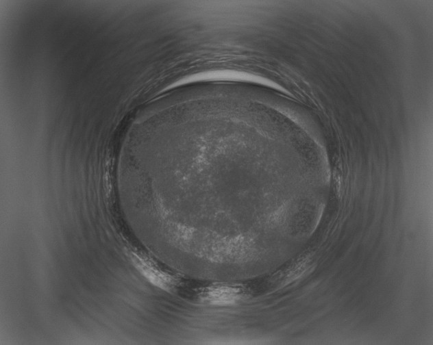 X0000084030462200702232303