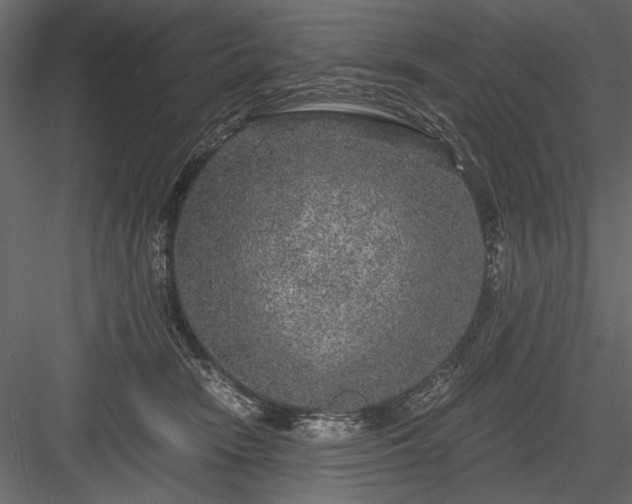 X0000084030466200702232303