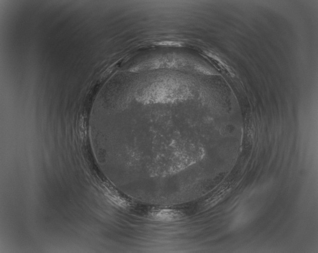 X0000084030467200702232303