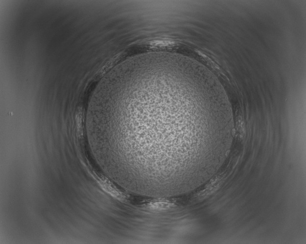 X0000084030468200702232303