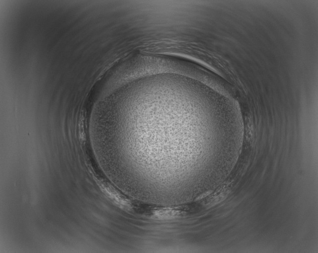 X0000084030470200702232303