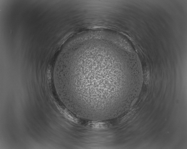 X0000084030472200702232303