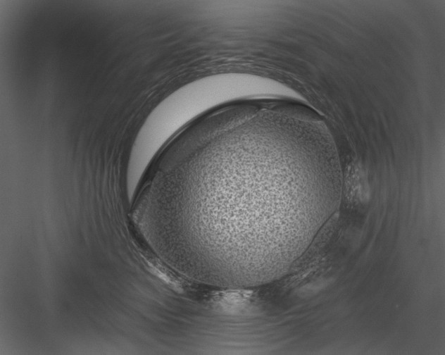 X0000084030474200702232303