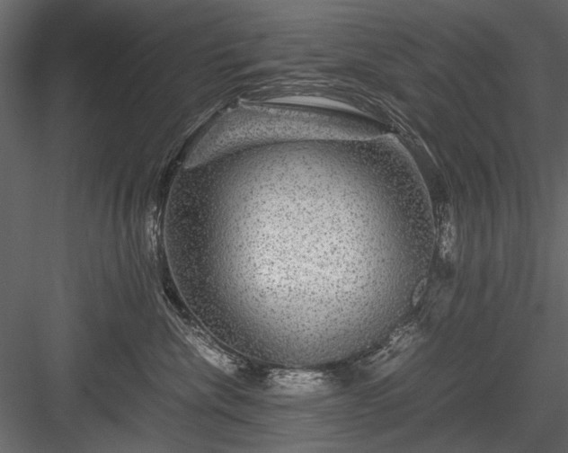 X0000084030476200702232303