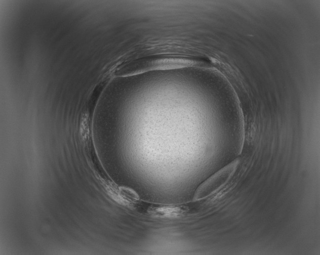 X0000084030478200702232303