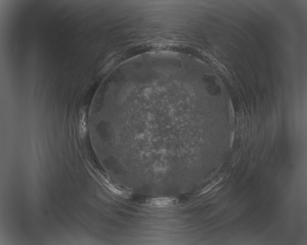 X0000084030479200702232303