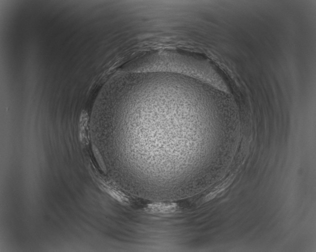 X0000084030480200702232303