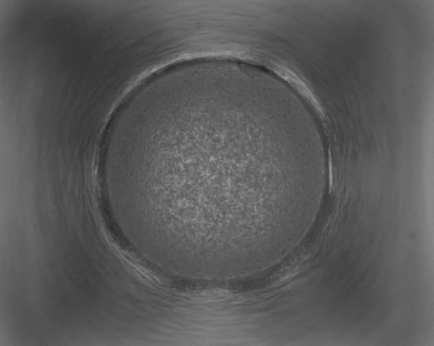 X0000084030483200702232302