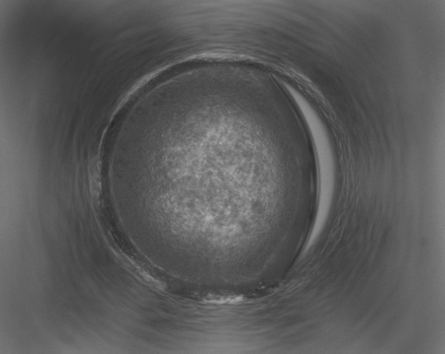 X0000084030484200702232302