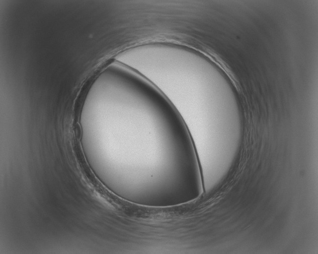 X0000084030485200702232302