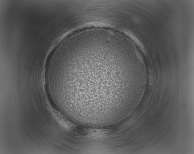 X0000084030486200702232302