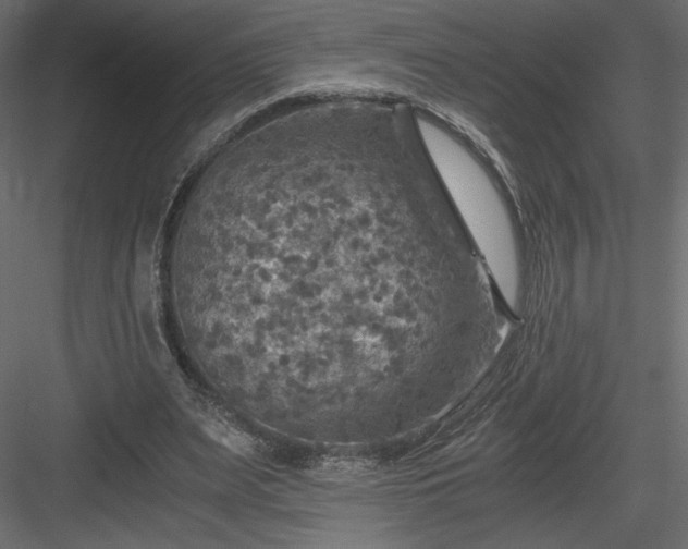 X0000084030487200702232302