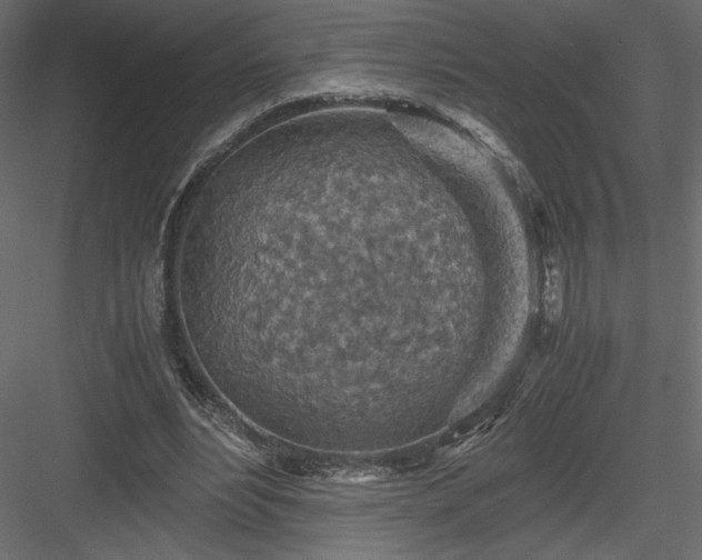 X0000084030488200702232302