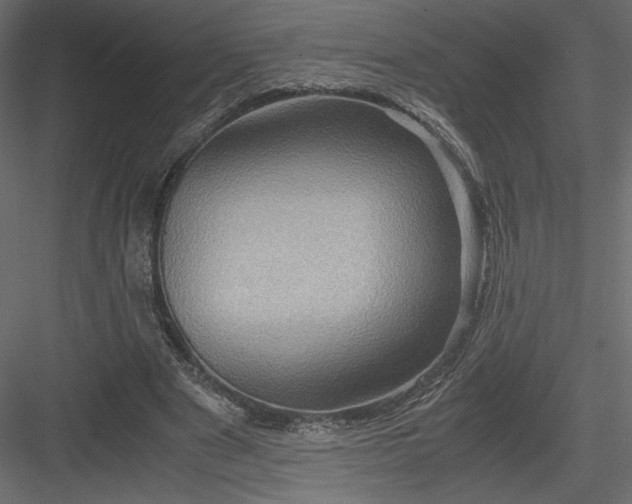 X0000084030489200702232302