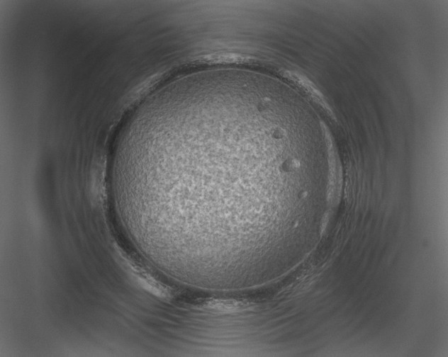 X0000084030490200702232302