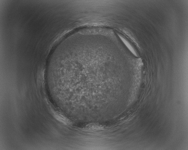 X0000084030491200702232302