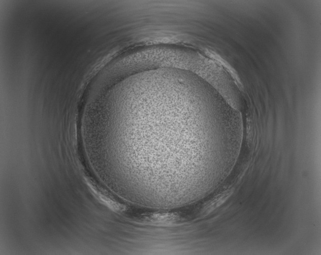 X0000084030493200702232302