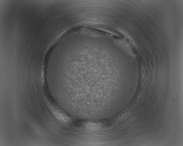 X0000084030494200702232302