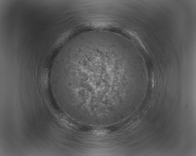 X0000084030495200702232302