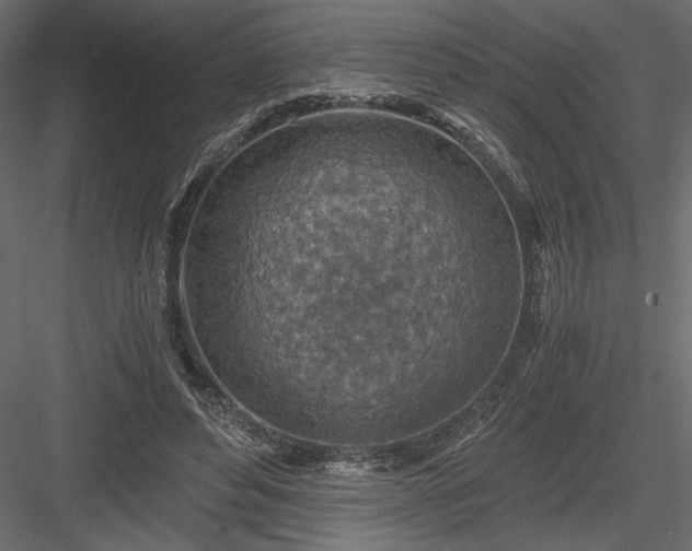 X0000084030496200702232302