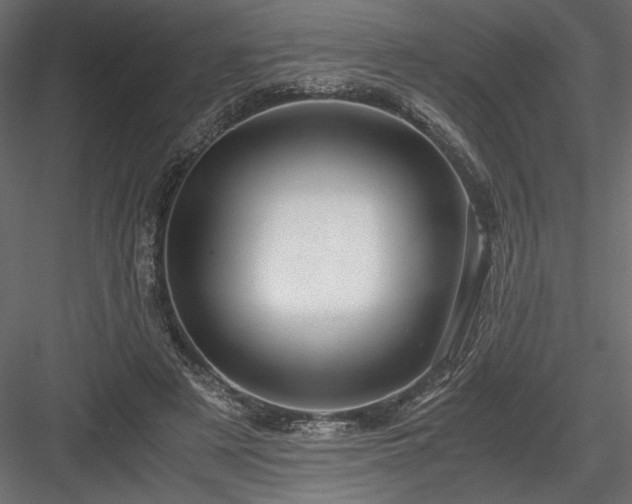 X0000084030497200702232302