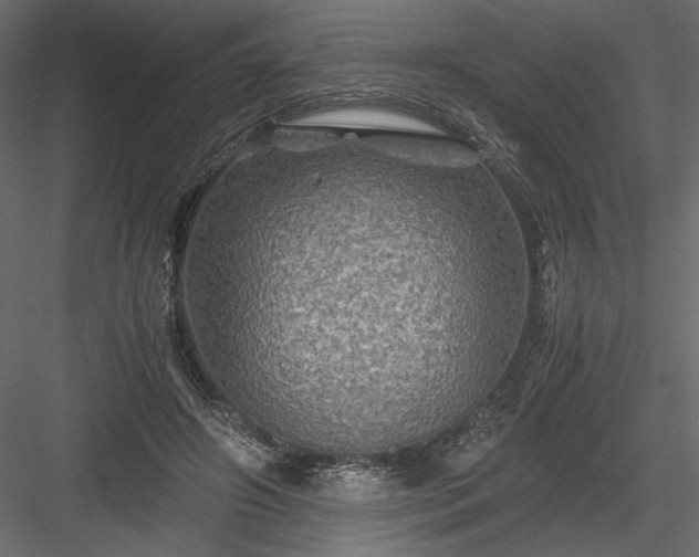 X0000084030498200702232302