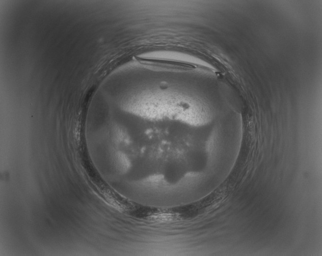 X0000084030499200702232302