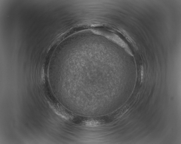 X0000084030500200702232302